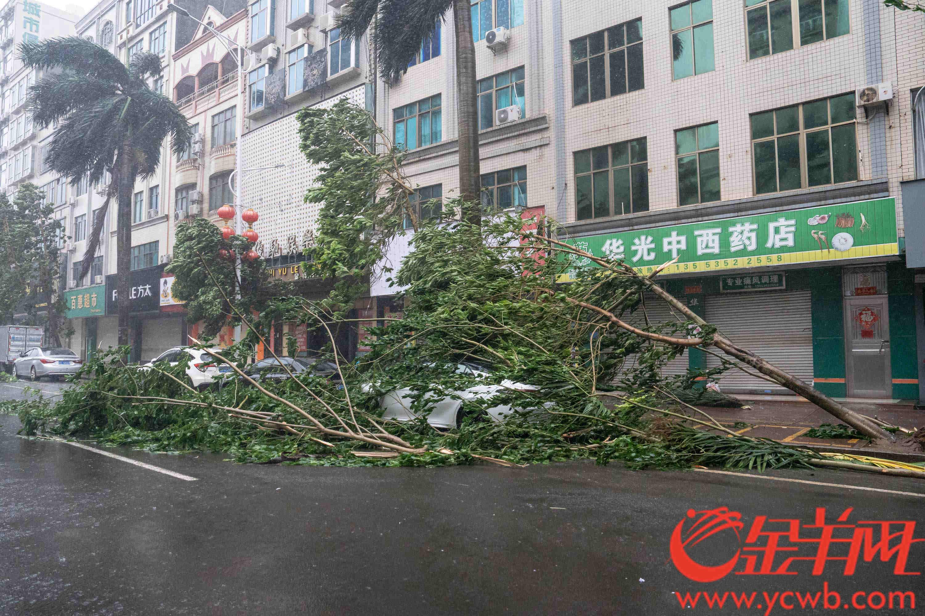 现场直击|徐闻县街道出现狂风暴雨