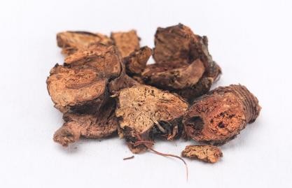 西藏诺迪康药业诺迪康胶囊:高原明珠,健康守护者