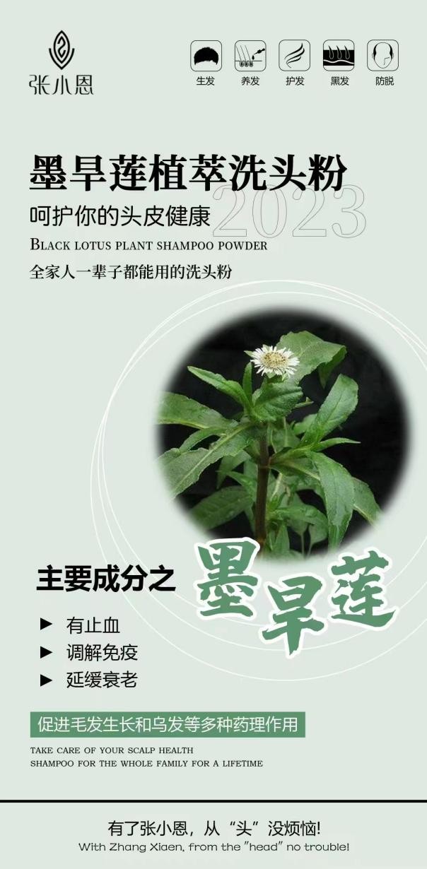 《影响力人物》栏目:重塑秀发青春 再现人生华彩
